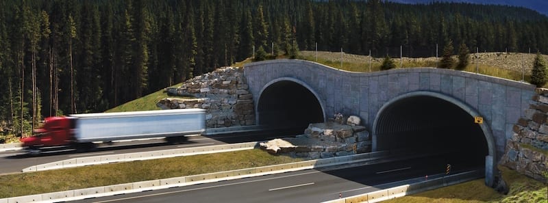 Wildlife-Overpass-Banff-National-Park- Alberta