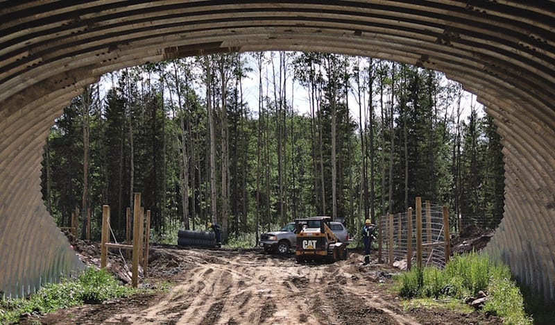 Oil-Sands-Wildlife-Underpass-Fort-McMurray-Alberta