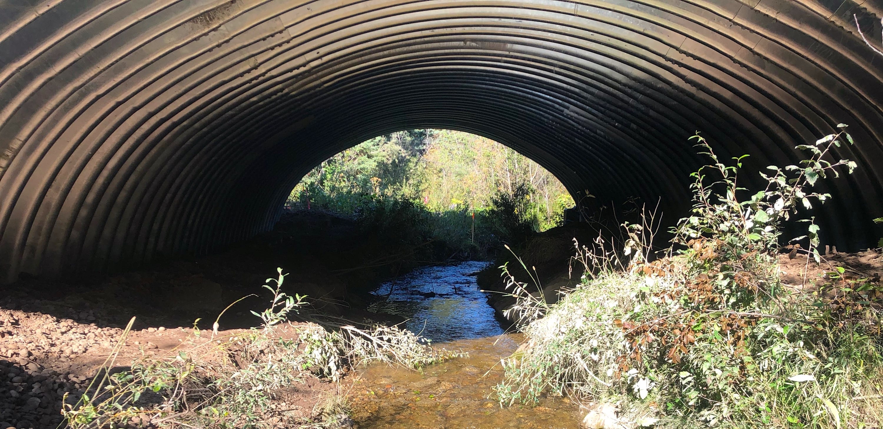 : Close view of restored stream flowing under AIL GRS Bridge