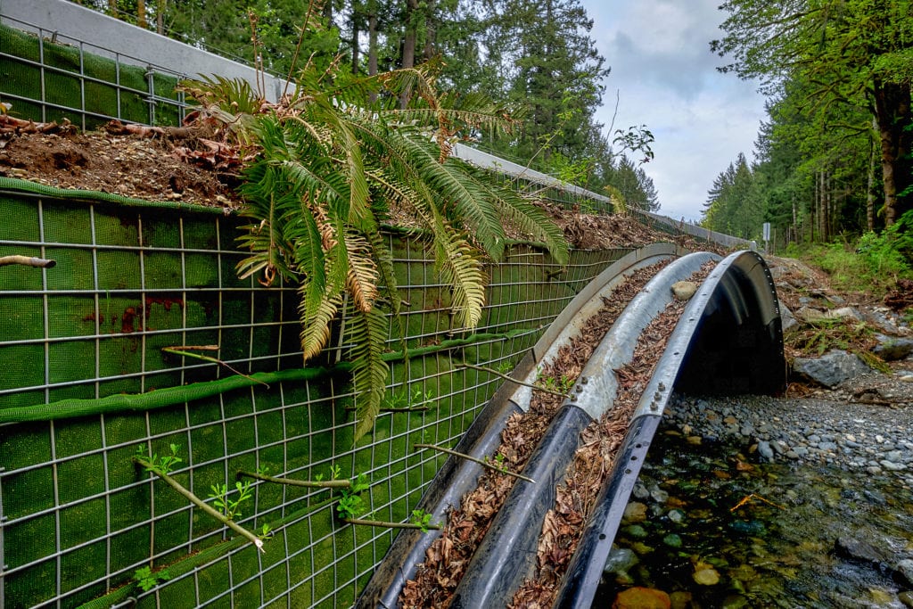 Close view of buried bridge installed on BC Highway 19A