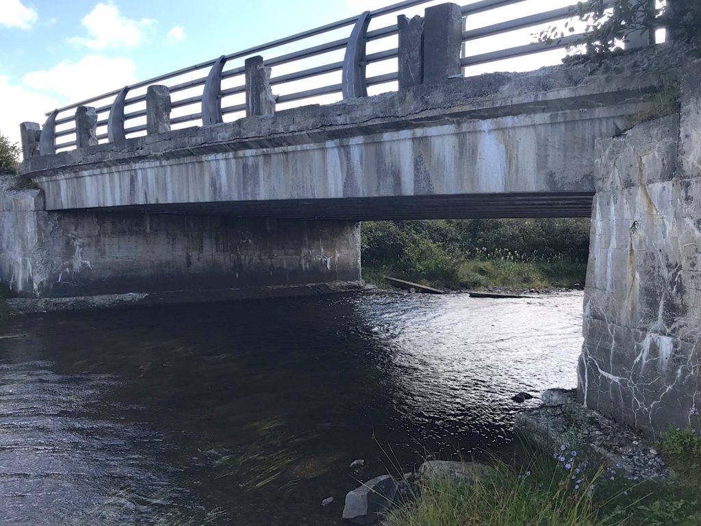 Old concrete highway bridge in need of replacement