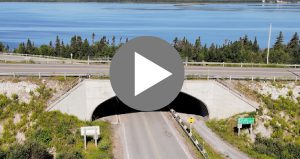 Super-Cor Grade Separation with MSE Walls, Deer Lake, NL