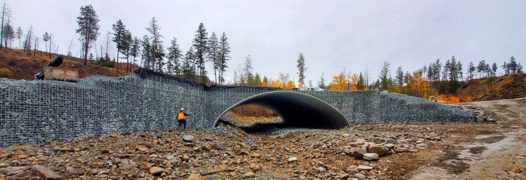 Wide view of buried metal bridge with wire wall headwalls