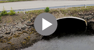 Dur-A-Span Box Culvert, Summerford, NL