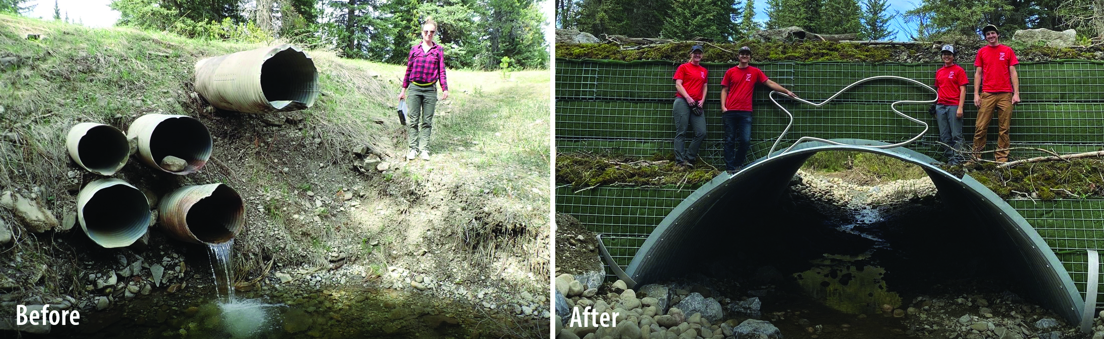 GRS Bridge stream crossing replaces culverts