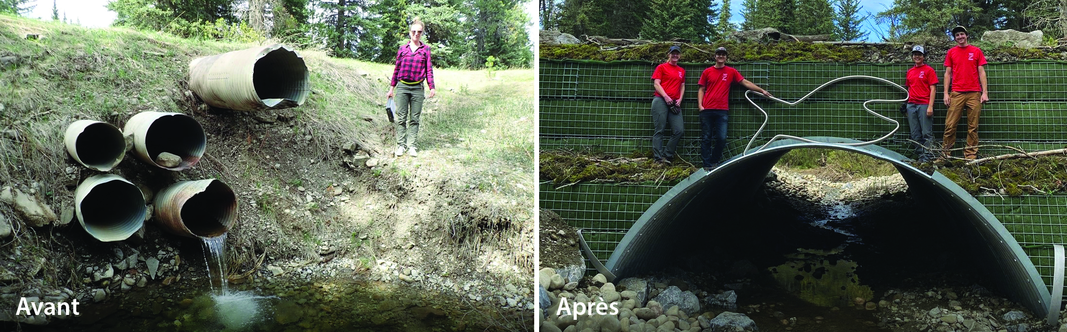 Before and after views of AIL Geotextile Reinforced Soil (GRS) Bridge