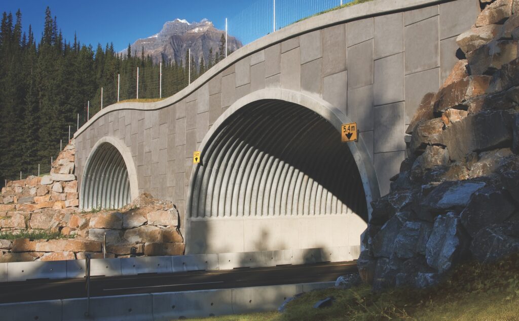 Super-Cor wildlife crossing with precast panel walls