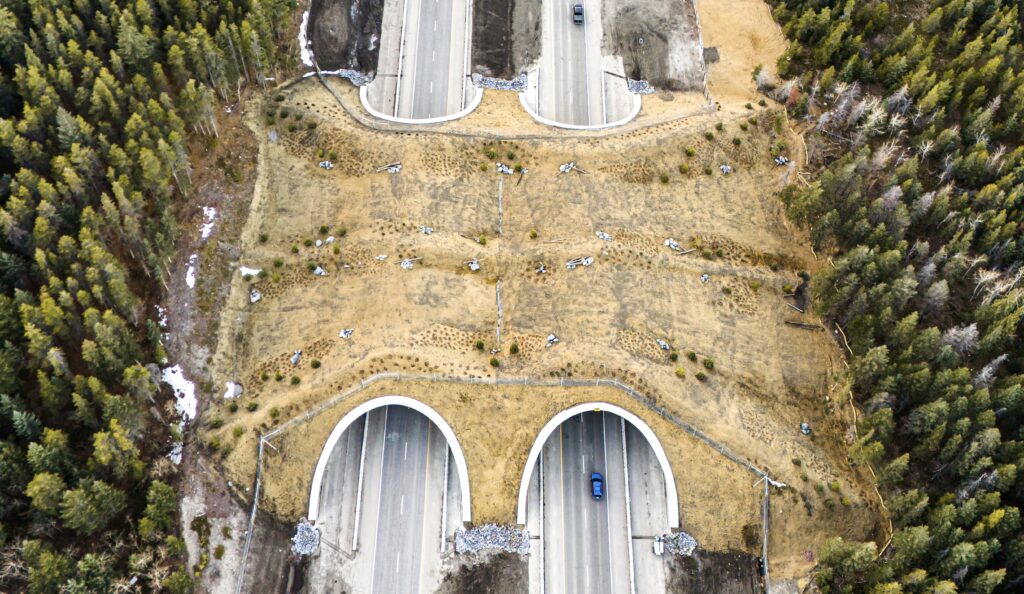 Aerial view of Bow Valley Gap Wildlife Overpass