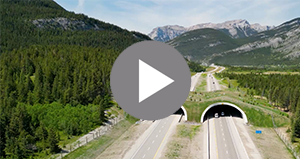 PROJECT UPDATE: Ultra-Cor Wildlife Overpass, near Canmore, AB