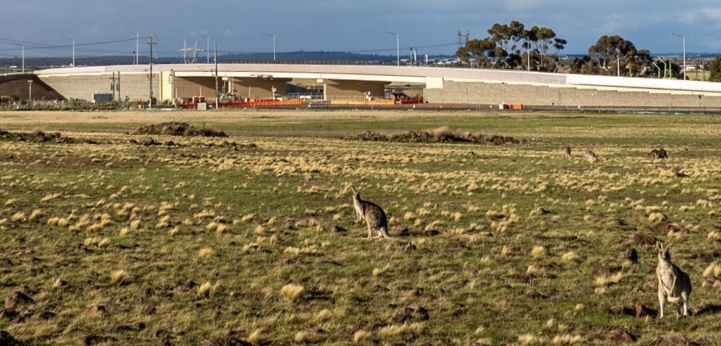Wide view of MSE Walls in Calder Park Drive grade separation